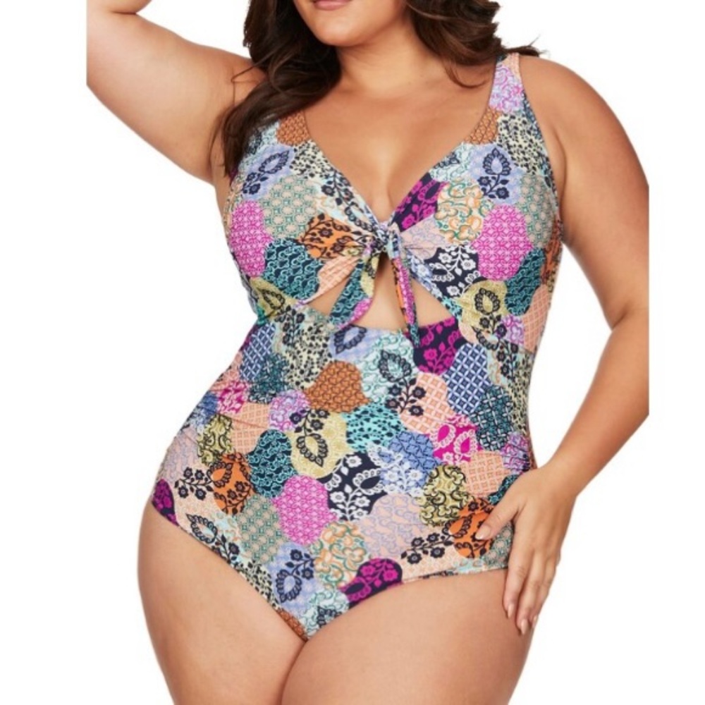 Artesands Salmugundi Cezanne Plus Size D-DD One Piece Swim Suit New With Tags